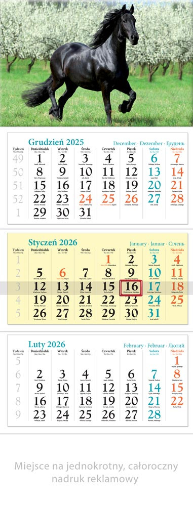 Kalendarz trójdzielny KOŃ LUCRUM KT13